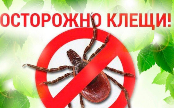 "ГОРЯЧАЯ ЛИНИЯ" ПО ПРОФИЛАКТИКЕ КЛЕЩЕВОГО ЭНЦЕФАЛИТА.